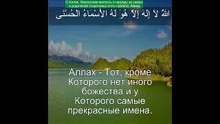 Коран Сура Таха | 20:8 | Чтение Корана с русским переводом | Quran Translation #quranrecitation