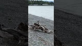 Qualicum Beach in #victoriaisland #bc #canada #beach #beaches #travel #traveldestinations