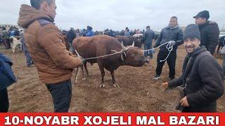 10-НОЯБРЬ/ХОЖЕЛИ МАЛ БАЗАРЫ/СКОТНЫЙ РЫНОК/BUQALAR/BIG BULLS IN THE WORLD/BIG COW