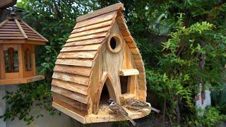 Build Most Amazing Bird House and Bird Feeder