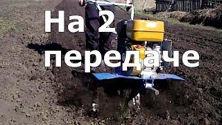 На 2й передаче   культивация Нева мб 23