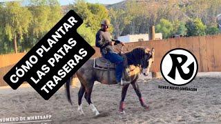 Como enseñarle a tu caballo que plante sus patas traseras y gire con los hombros