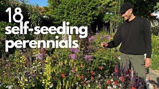 18 Self-Seeding Perennials for a Lush Cottage Garden | Perennial Garden