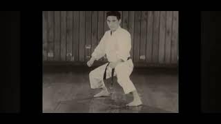 Other Karate Style Kata (Shotokan Karate) - Seienchin