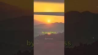 The Sayings of the Buddha | Verses From The Dhammapada #shorts