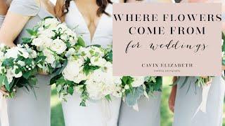 Where Wedding Flowers Come From |  Rising Costs + More