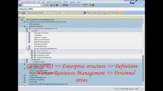 FREE SAP Online Training : SAP HR/HCM Personnel area company code assignment