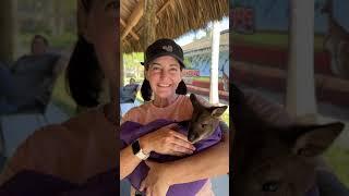 Animal EDvetures Park & Safari VIP Experience in Boynton Beach, FL