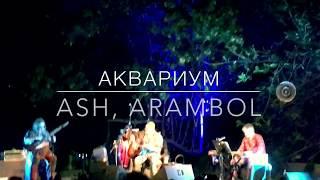 БГ в АРАМБОЛЕ, 2018, live