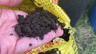 Cow Manure that Does Not Stink - Black Kow Compost