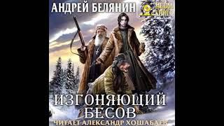 ИЗГОНЯЮЩИЙ БЕСОВ   Андрей Белянин АУДИОКНИГА