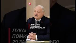 Лукашенко помиловал 29 заключённых! #лукашенко #политика #новости #беларусь #амнистия #заключенные