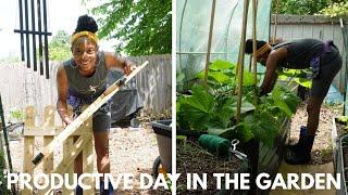 FINALLY Replacing My Garden Door | Successful Greenhouse Growing (A Wall of Flowers)