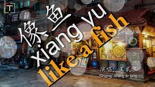 像鱼 - xiàng yú - like a fish WITH PINYIN AND LYRICS