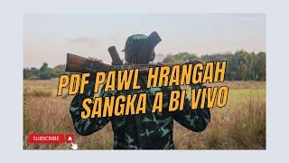 PDF Pawl Hrangah Sangka A Bi Vivo