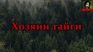 Истории на ночь - Хозяин тайги. Вы приехали и уехали, а нам здесь жить