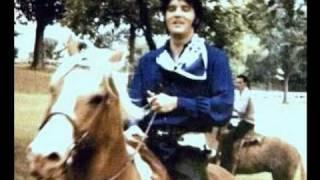 U.S. Male......Elvis