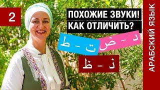 Урок 2. Буквы د - ض  Буквы ت – ط  Буквы ذ –  ظ  Как различать похожие звуки в арабском алфавите?