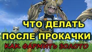 Что ДЕЛАТЬ на КАПЕ и Как ФАРМИТЬ ЗОЛОТО Blade & Soul Гайд