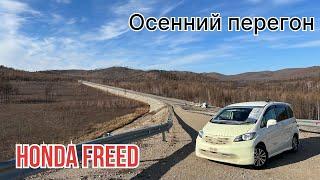 Осенний перегон HONDA FREED