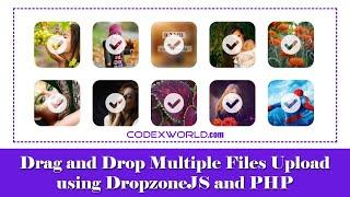 Drag and Drop File Upload using DropzoneJS and PHP