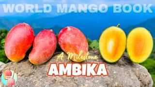 Ambika- The Mango, The Myth, The Legend || A Milestone To Remember Among Indian Hybrids.