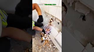 Others treasure found something but this #insa#usa#insane #short