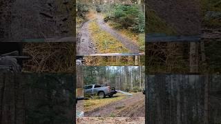 Squatching on the mini Jeep down creepy abandoned roads in the OlympicNationalForest