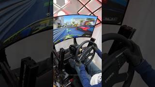 SIM Race by DAY Truck Driving by NIGHT 