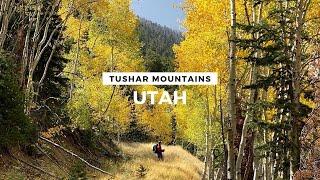 Hiking 80km Across Utah's Tushar Mountains