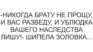 -Никогда брату не прощу, и вас разведу, и ублюдка вашего наследства лишу!- шипела золовка...