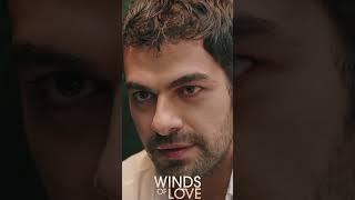 Halil proposes to Zeynep | #windsoflove #shorts #ruzgarlitepe