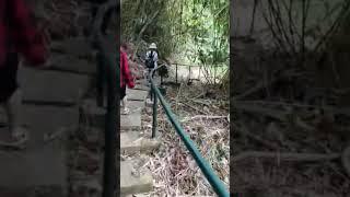 OTW SA FALLS #shortvideo #nature #shortsfeed #trending #subscribe #shots #shorts #short