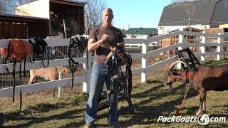 Marc Warnke Pack Goat Saddle Reviews - Full Lineup