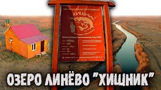 Озеро Линёво "ХИЩНИК" / Рыбалка в Новосибирске / Ловля хищника осенью на крупные приманки.