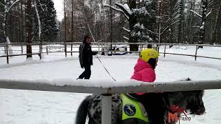 КСК Матадор Водан