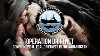 Shocking Footage of Illegal Fishing in the Indian Ocean