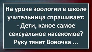 Вовочка и Самое С@ксуальное Насекомое! Сборник Анекдотов Синего Предела №192