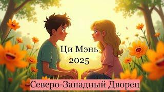 Прогноз по Ци Мэнь на год Змеи 2025: Северо-Западный Дворец