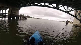 Bay Farm Island Bridge from below