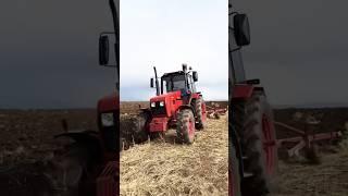 traktor Belarus 