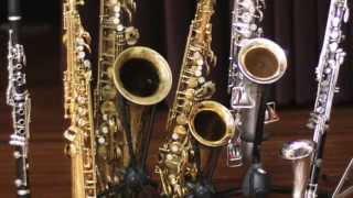 Gary Gould One-Man Concerts (featuring saxes, clarinets, whistles, theremin and more.)