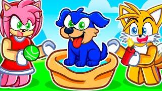 What If Sonic was a DOG?!