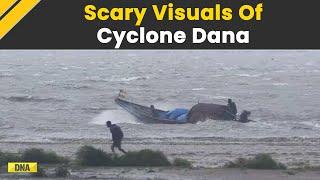 Cyclone Dana Update: Horrifying Visuals Of Cyclone Dana From Odisha-West Bengal Coast