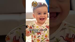 красивое чтение коран слушайте коран и сохранять молчание #коран#сура#аят#quran#quranuz#sura#shorts