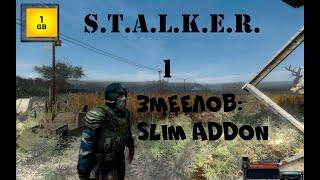 S.T.A.L.K.E.R. - Slim Addon к моду Змеелов.Обзорное видео.