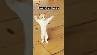 Dum dum dika dika #catdance #viral #shorts