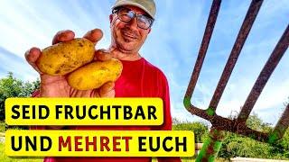 Die wundersame Kartoffel-Vermehrung | Rezept: Pflaumenmus | Test: Rüttelsieb