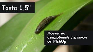 FishUp Lures. Tanta 1.5" Ловля на Съедобный силикон.