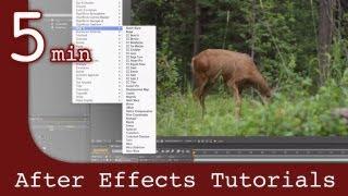 After Effects Tutorial: Working with effects and animation in After Effects Lesson